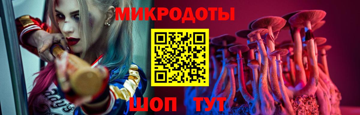 Галлюциногенные грибы MAGIC MUSHROOMS Казань